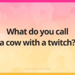 What do you call a cow with a twitch?