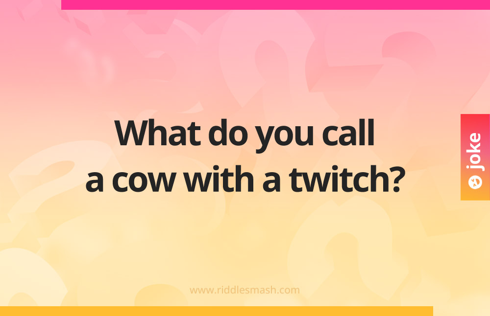 What do you call a cow with a twitch?