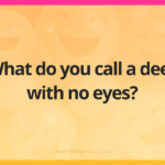 What do you call a deer with no eyes?