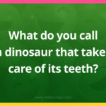 What do you call a dinosaur that takes care of its teeth?