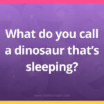 What do you call a dinosaur that's sleeping?