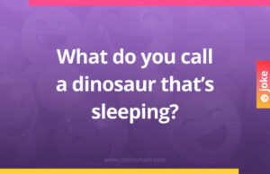 What do you call a dinosaur that's sleeping?