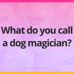What do you call a dog magician?