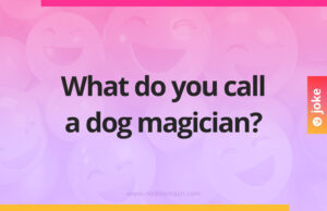 What do you call a dog magician?