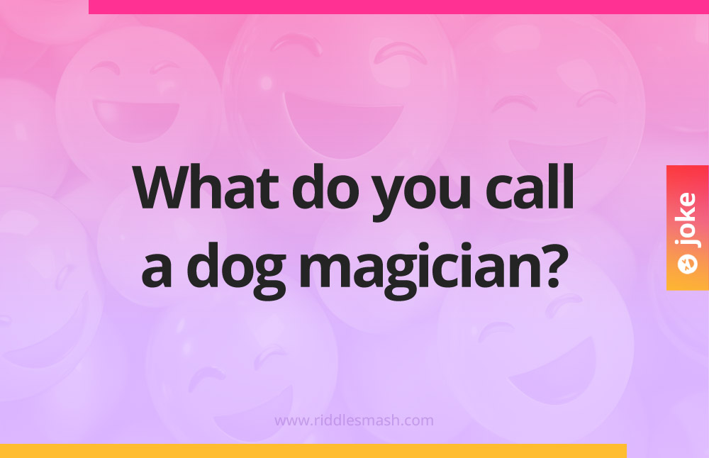 What do you call a dog magician?