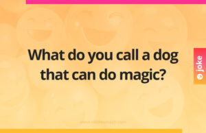 What do you call a dog that can do magic?
