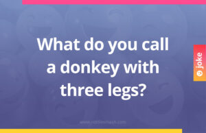 What do you call a donkey with three legs?