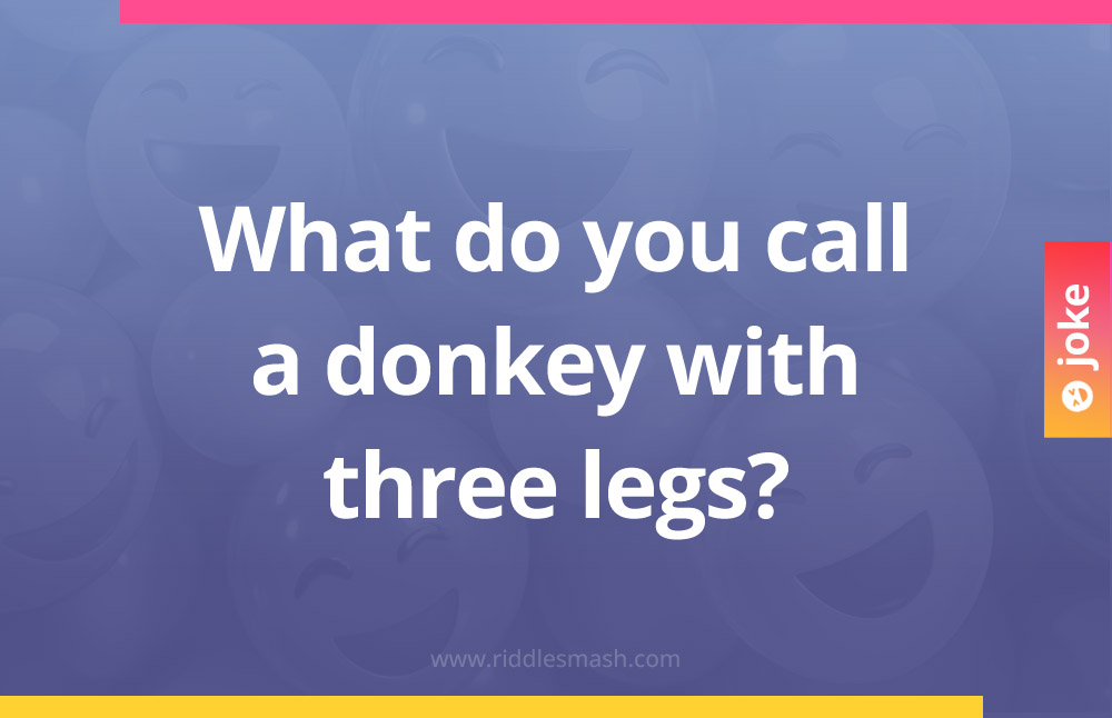 What do you call a donkey with three legs?
