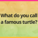 What do you call a famous turtle?