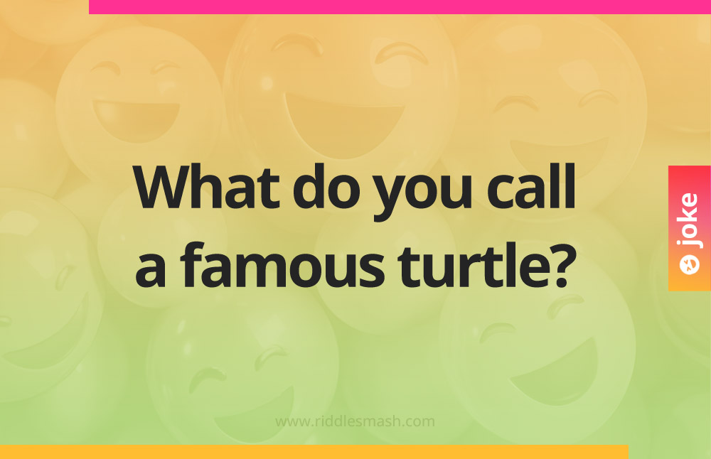 What do you call a famous turtle?