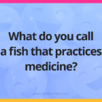 What do you call a fish that practices medicine?
