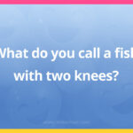 What do you call a fish with two knees?