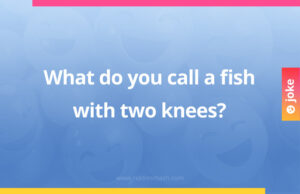 What do you call a fish with two knees?