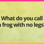 What do you call a frog with no legs?