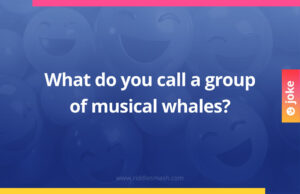 What do you call a group of musical whales?