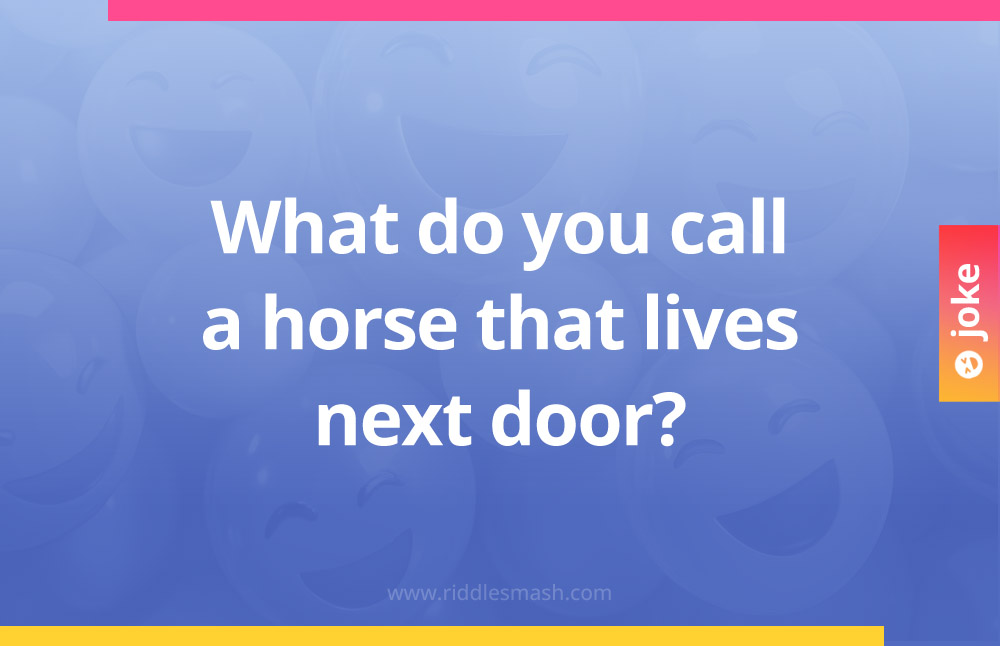 What do you call a horse that lives next door?