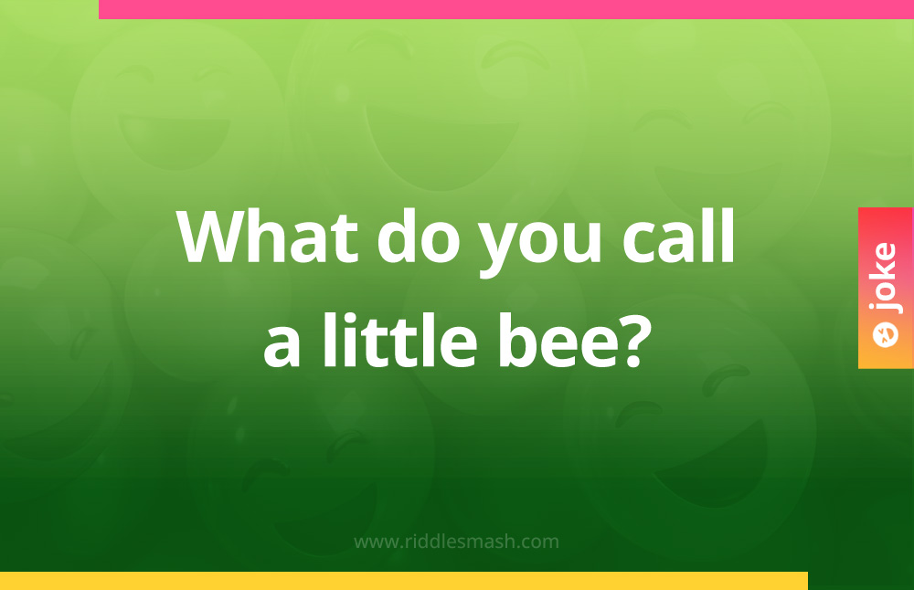 What do you call a little bee?