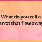 What do you call a parrot that flew away?