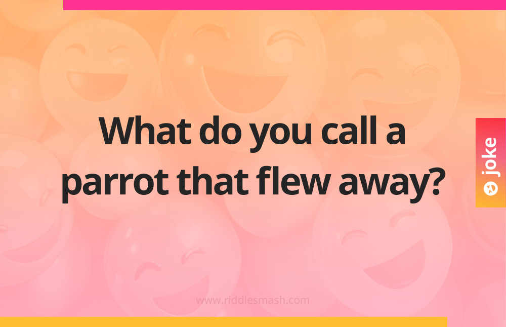 What do you call a parrot that flew away?