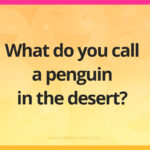 What do you call a penguin in the desert?