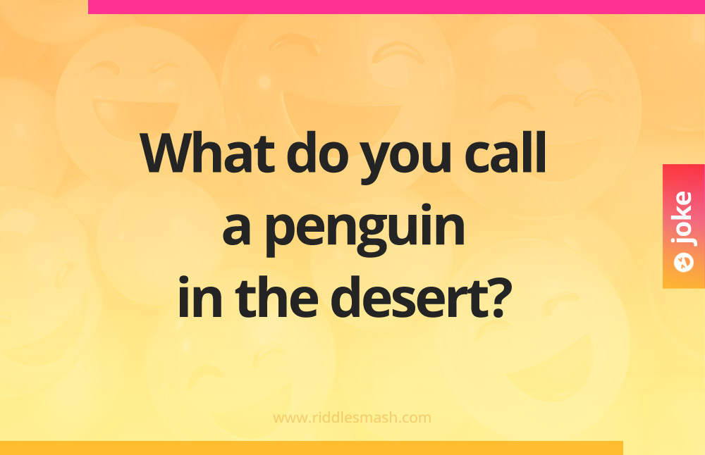 What do you call a penguin in the desert?