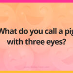 What do you call a pig with three eyes?