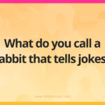 What do you call a rabbit that tells jokes?