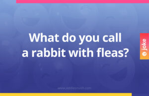 What do you call a rabbit with fleas?