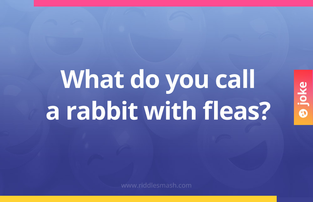What do you call a rabbit with fleas?