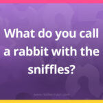 What do you call a rabbit with the sniffles?
