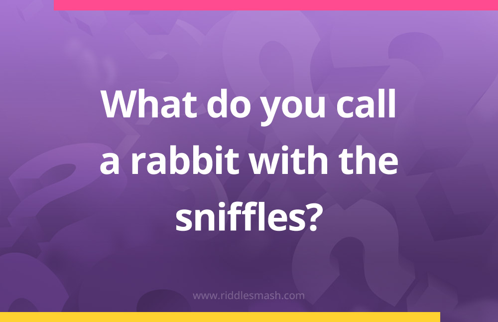 What do you call a rabbit with the sniffles?