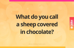 What do you call a sheep covered in chocolate?