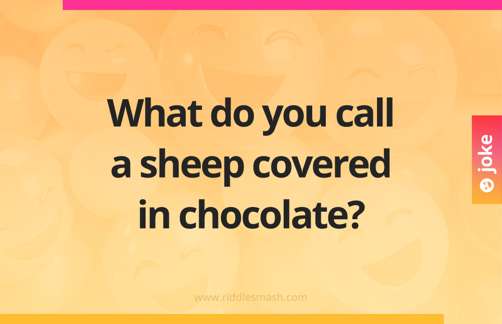 What do you call a sheep covered in chocolate?