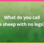 What do you call a sheep with no legs?