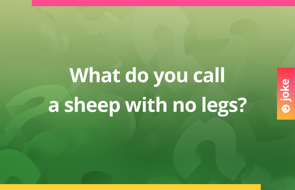 What do you call a sheep with no legs?