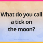 What do you call a tick on the moon?