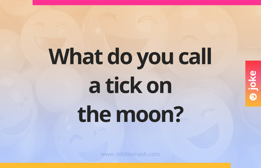 What do you call a tick on the moon?