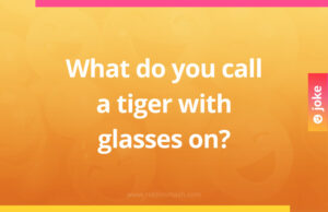 What do you call a tiger with glasses on?