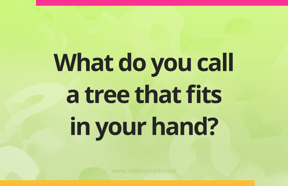 What do you call a tree that fits in your hand?