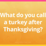 What do you call a turkey after Thanksgiving?