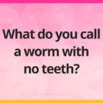 What do you call a worm with no teeth?