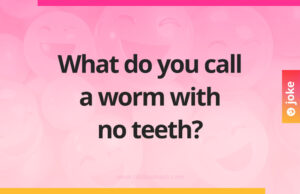What do you call a worm with no teeth?