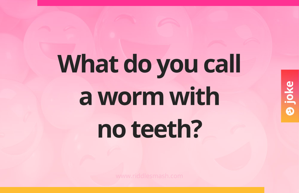 What do you call a worm with no teeth?