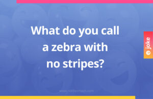 What do you call a zebra with no stripes?