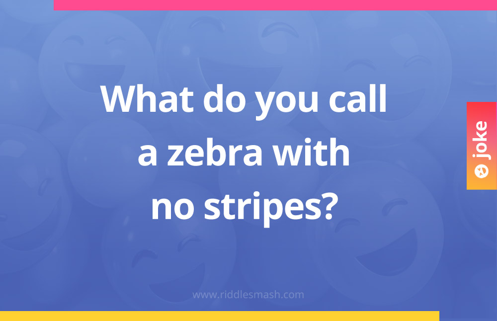 What do you call a zebra with no stripes?