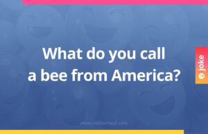 What do you call a bee from America?