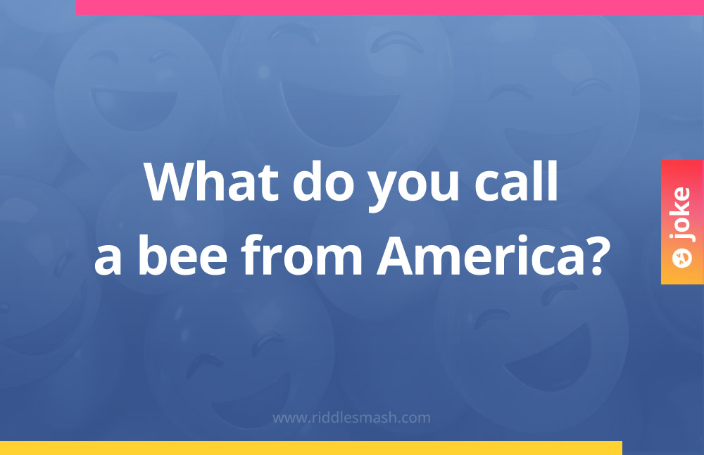 What do you call a bee from America?