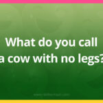 What do you call a cow with no legs?