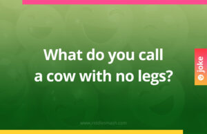 What do you call a cow with no legs?