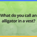 What do you call an alligator in a vest?